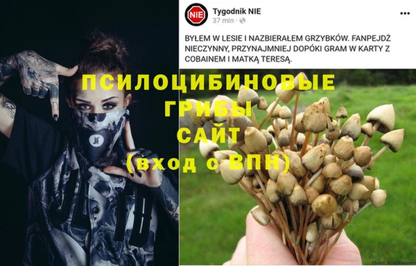 твердый Абдулино