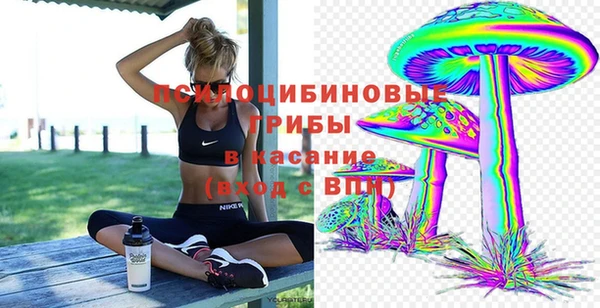 кристаллы Абаза