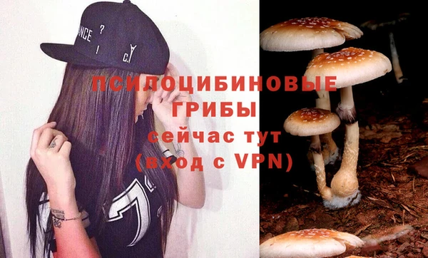 кристаллы Абаза