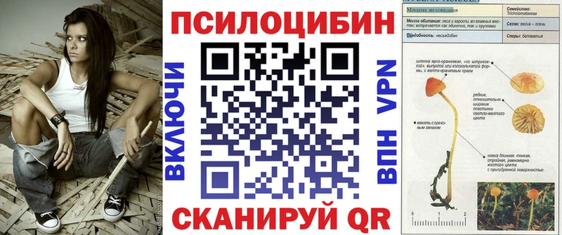 где найти наркотики Знаменск Галлюциногенные грибы мицелий